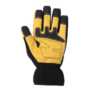 Ski Gloves