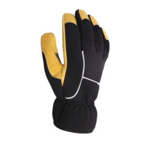 Ski Gloves