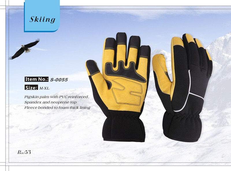 Ski Gloves