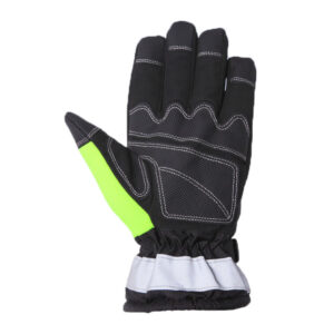 Ski Gloves