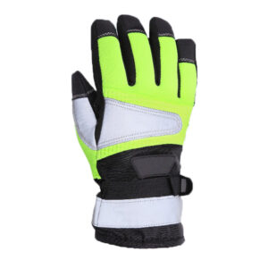 Ski Gloves