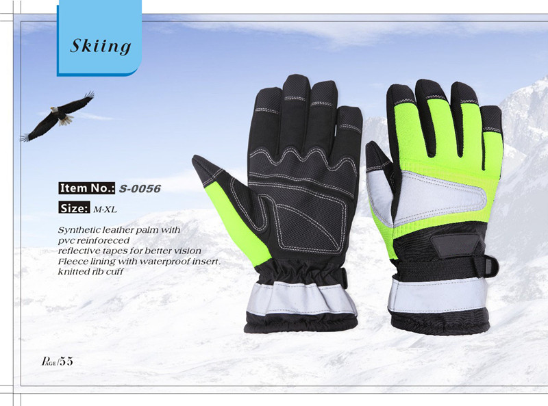 Ski Gloves