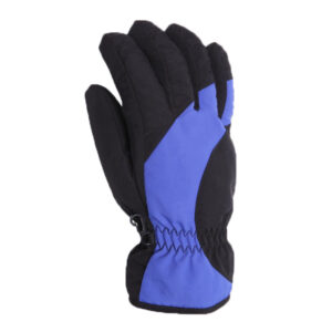 Customized Ski Gloves